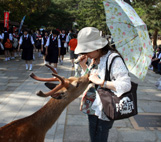 nara_2005.jpg